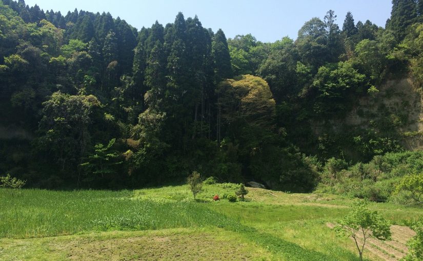 野遊び