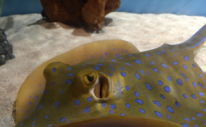 水族館